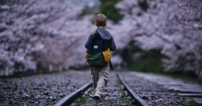 Little boy with backpack walking down tracks with beautiful surrounding cherry blossoms - slow motion