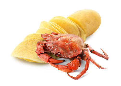Potato chips and crab on white background. Crisps with seafood flavor