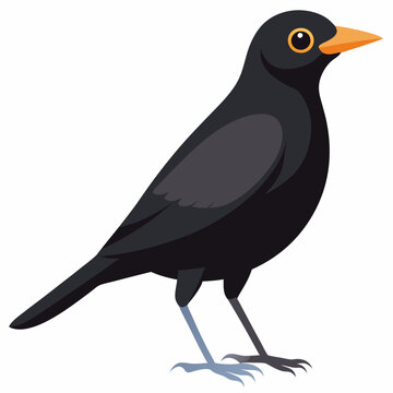 Un oiseau noir m&acirc;le en Angleterre