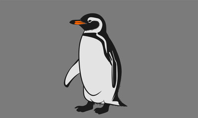 Fototapeta premium penguin vector illustration