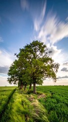 Fototapeta premium Lush Green Tree Standing in Vibrant Rural Field Under Dramatic Cloudy Sky