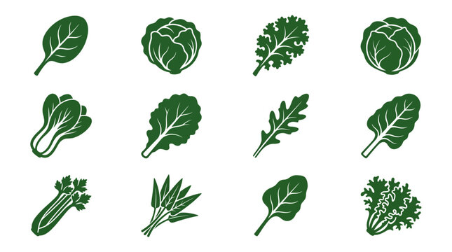 leafy vegetables  spinach leaf silhouette  lettuce head silhouette  kale leaf silhouette  cabbage head silhouette  bok choy silhouette  mustard greens leaf silhouette  arugula leaf silhouette  swiss