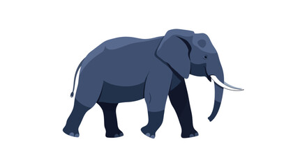 Large Gray Elephant Walking Forward Slowly. © Ahmad