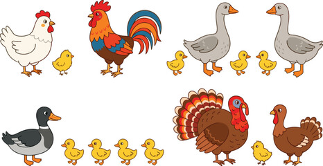 Obraz premium Cute Cartoon Farm Poultry Bird Character Set Featuring Hen Rooster Chicken Duck Goose And Turkey Family For Kids Educational Graphic Vector Designs
