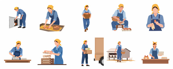 Vector illustration set of a female farmer gathering, sorting, and selling fresh organic eggs from a chicken coop, poultry farming concept. © Alara