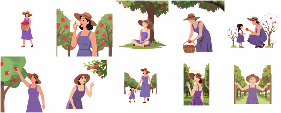 Set of illustrations of a woman and child enjoying apple picking in a sunny orchard during harvest season