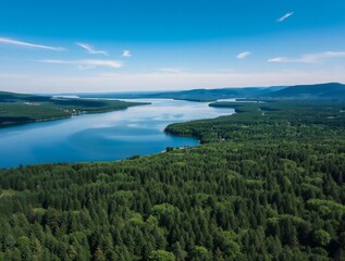 Obraz premium Aerial view of a vast blue lake surrounded by lush green forest under a bright blue sky