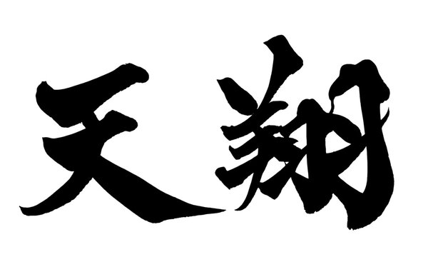 天翔 Soaring to Heaven Japanese Calligraphy 筆文字 手書き 日本語 和風