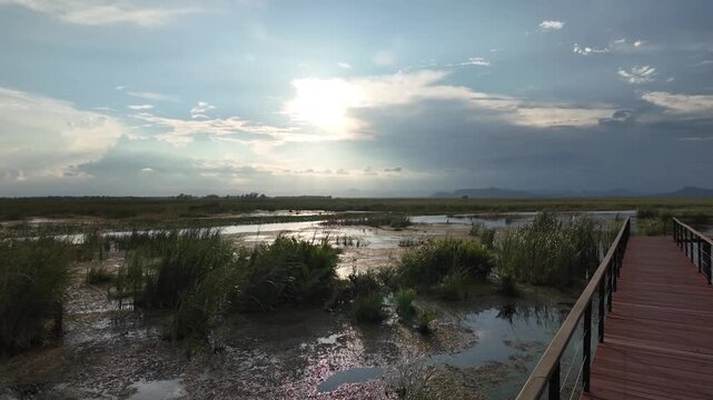 Wooden Boardwalk Through Wetlands: A wooden boardwalk extends into a vast wetland landscape under a dramatic sky with sunlight breaking through clouds.