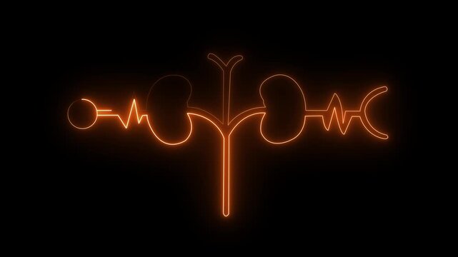 Glowing Human kidney icon animation. This renal system symbol is a neon kidney 4k animation. The kidney was divided into the right and left halves icon animated. heart