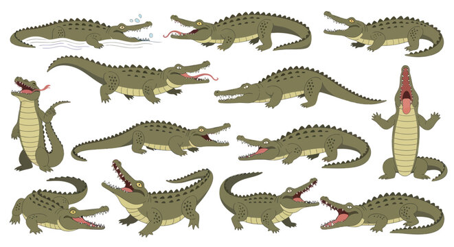 Group of crocodiles standing together.