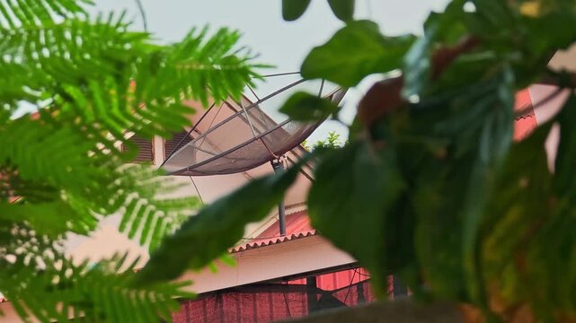 C-band satellite dish, mounted on a building.
