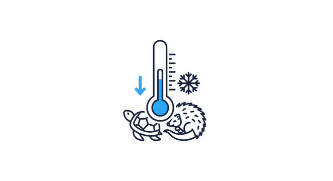 Animal Hibernation Concept: Cold Weather and Low Temperature Iconography