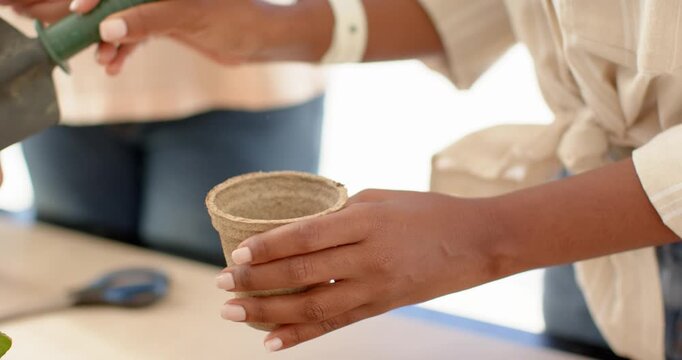 African American couple watching woman filling peat pots after seeing seedling tray at sunlit table