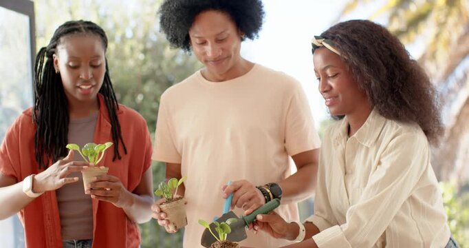 African American friends inspecting seedlings and potting them on patio to plant with pot trowel