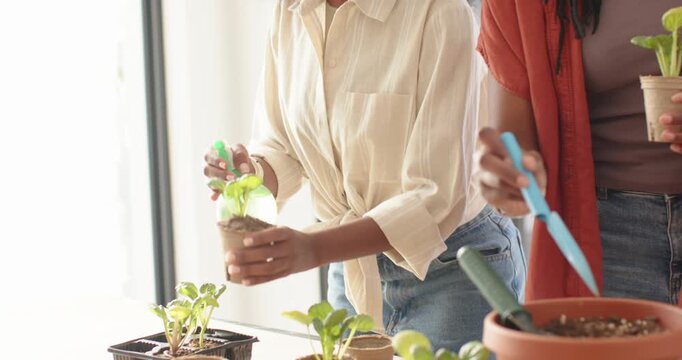 2 African American women starting misting seedlings by sunlit window potting using spray and trowel
