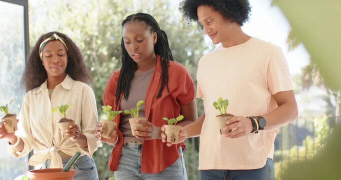 African American friends exchanging smiles stepping forward at garden table offering seedling pots