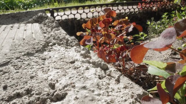 Macro wideframe red foliage against concrete and sand seam, circular metal grid backdrop, warm sunlight, gritty texture, lateral sweep emphasizing survival and new growth, optimistic tone