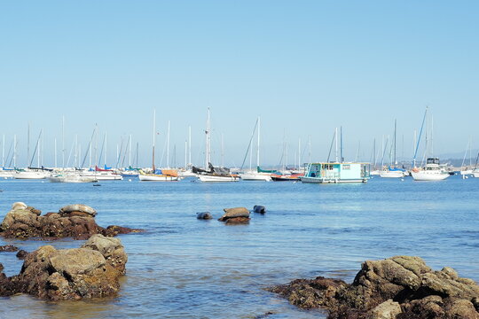 boats in the harbour