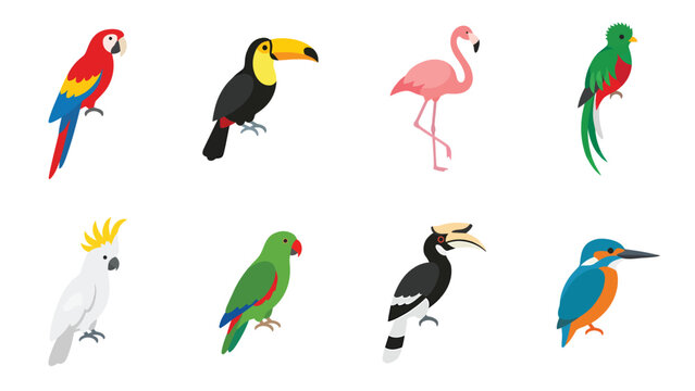 Collection of colorful tropical birds, including a parrot, toucan, flamingo, quetzal, cockatoo, parakeet, hornbill, and kingfisher, in a flat vector style.