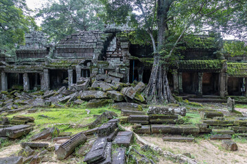 Fototapeta premium Ancient stone ruins of Ta Prohm temple, overgrown with moss and trees, in Siem Reap, Cambodia.