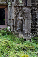 Fototapeta premium Ancient stone carvings of apsaras and deities adorn the weathered walls of Ta Prohm temple in Siem Reap, Cambodia, showcasing intricate Khmer artistry.