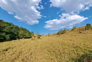 Uma área de pasto em uma antiga fazenda da cidade de São José dos Campos, interior do estado de São Paulo, Brasil © Ricardo_S_Levenhagen