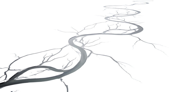 Winding river with branching tributaries grayscale illustration isolated on transparent background
