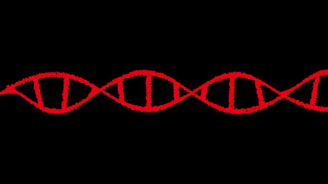 Animated DNA. Alpha Matte included. 4k video. Science template, wallpaper or banner with a DNA helix molecules. Abstract DNA structure. Vector dna helix icon.
