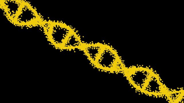 Animated DNA. Alpha Matte included. 4k video. Science template, wallpaper or banner with a DNA helix molecules. Abstract DNA structure. Vector dna helix icon.