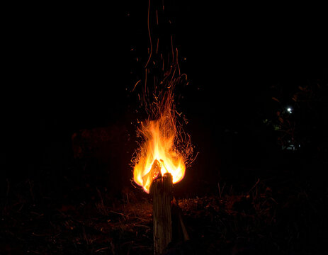 Campfire flames against darkness