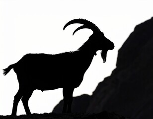 Fototapeta premium goat, silhouette, horns, curved, beard, rocky, terrain, mountain, cliff, sky, bright, contrast, dark, outline, natural, animal, wildlife, resilience, adaptability, strength, rugged, environment, pasto