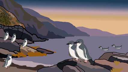White flippered Penguins: Echoes of Akaroa  © Diego