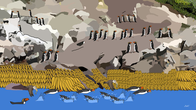 Snares crested penguin: Anchovy Chase at Kelp Edge
