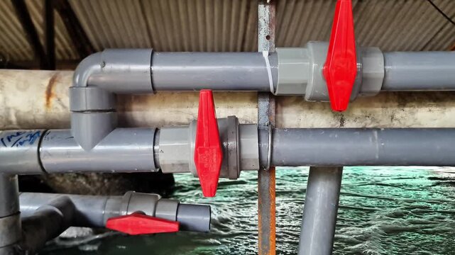 Sidoarjo, Indonesia - 2 June, 2026: Industrial PVC Plumbing System with Red Handle Ball Valves Controlling Water Flow in Aquaculture Tank