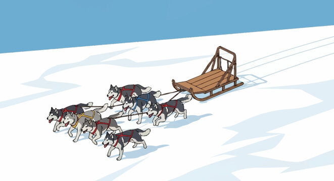 dogs pulling a sled in the snow.