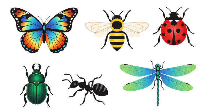 Colorful insects on white background.