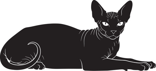 sleek black exotic sphynx cat lying down in a relaxed pose with large expressive eyes and minimalist silhouette © Baby