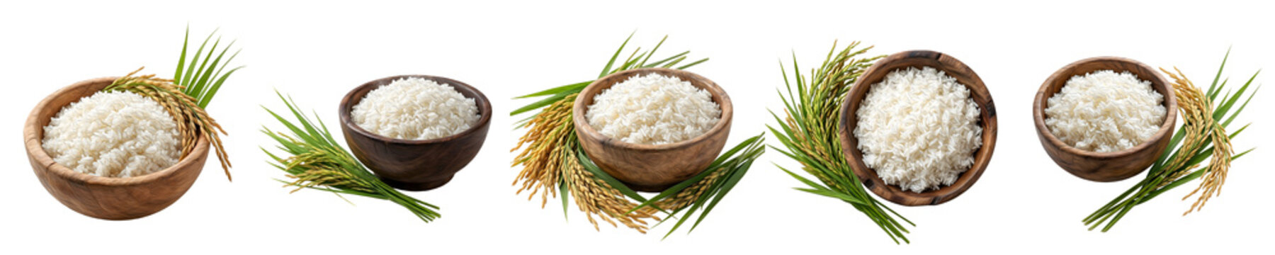 Premium White Rice in Wooden Bowls: Collection of Freshly Cooked Grains with Green and Gold Paddy Stalks Isolated on White Background for Culinary and Food Photography