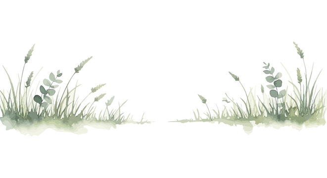 watercolor natural grass and plant illustration with delicate leaves on white perfect for serene botanical border designs