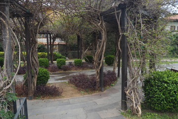 Fototapeta premium Pathway surrounded by plants in a garden setting