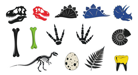 Collection of dinosaur fossils and bones. © puan