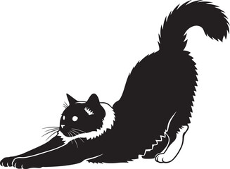 black and white silhouette of a fluffy long-haired cat sitting and looking forward with bushy tail upright © Baby