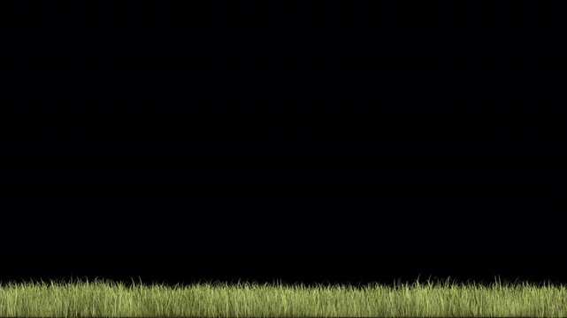 Grass Overlay Ground