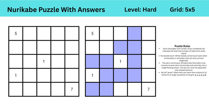 Nurikabe Puzzle With Answers Level Hard Grid 5x5 best to enhance brain muscle memory for both kids and adults perfect for digital use or large print activity or books publishing