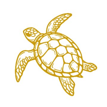 turtle vector illustration