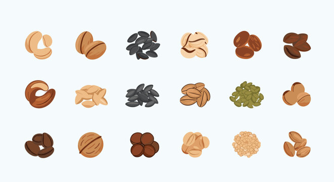 Comprehensive grid of various nuts and seeds including walnuts, almonds, cashews, and pumpkin seeds for healthy snacking.