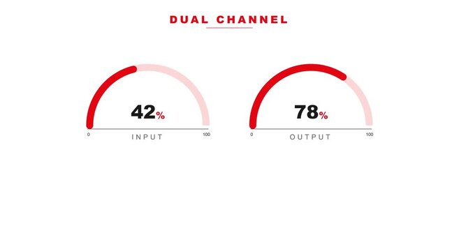 Dual channel data visualization: dynamic input output animation