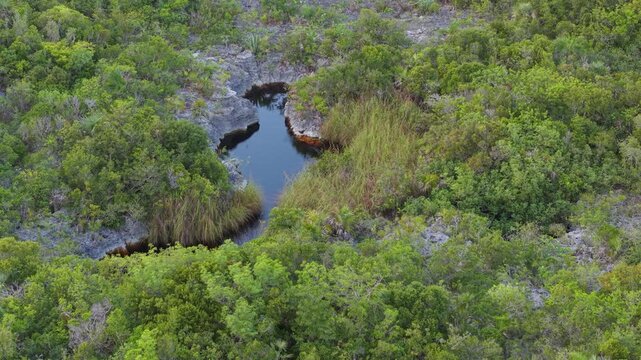 Hidden jungle pond and sinkhole in Exuma Bahamas, aerial orbit shot