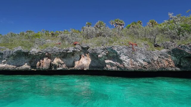 Sliding shot of tropical limestone cliff and ocean, Bahamas